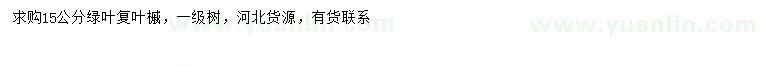 求購(gòu)15公分綠葉復(fù)葉槭