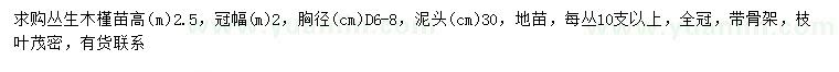 求購地徑6-8公分叢生木槿