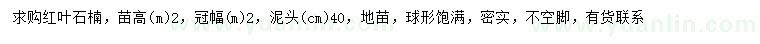 求購(gòu)2米紅葉石楠
