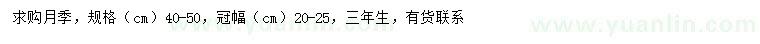 求購40-50公分月季