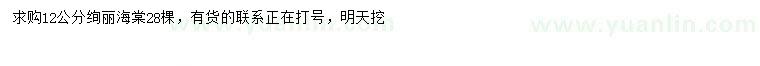 求購12公分絢麗海棠