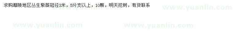求購冠幅3米叢生紫薇