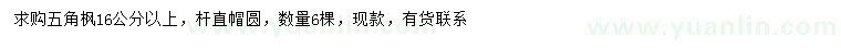 求購16公分以上五角楓