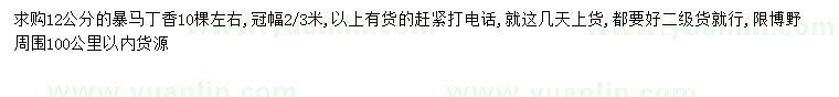求購12公分暴馬丁香
