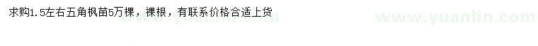 求購1.5公分左右五角楓