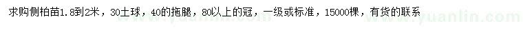 求購1.8-2米側(cè)柏