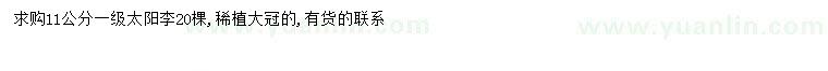 求購11公分太陽李