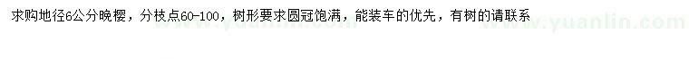 求購地徑6公分晚櫻