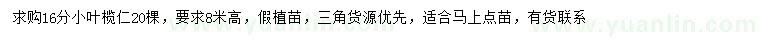 求購16公分小葉欖仁