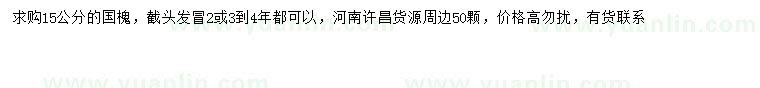求購15公分國槐