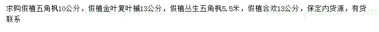 求購五角楓、金葉復(fù)葉槭、叢生五角楓等