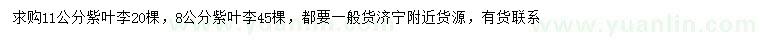 求購8、11公分紫葉李