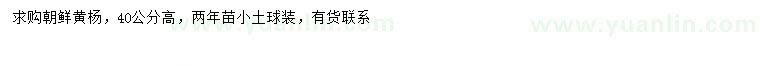 求購(gòu)高40公分朝鮮黃楊