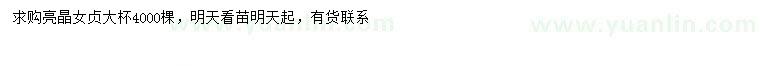 求購亮晶女貞大杯
