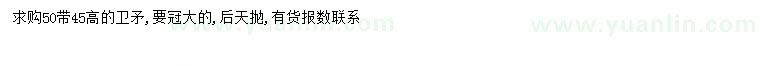 求購高45、50公分衛(wèi)矛