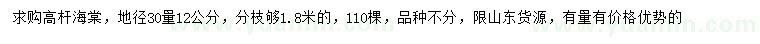 求購30量12公分高桿海棠