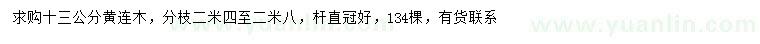 求購13公分黃連木