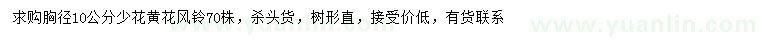 求購(gòu)胸徑10公分少花黃花風(fēng)鈴