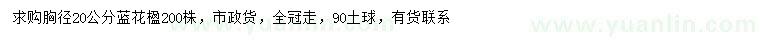 求購(gòu)胸徑20公分藍(lán)花楹