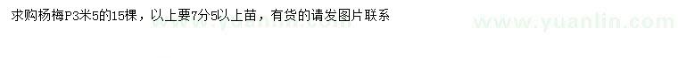 求購(gòu)冠幅3.5米楊梅