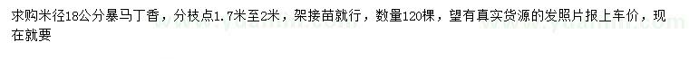 求購(gòu)米徑18公分暴馬丁香