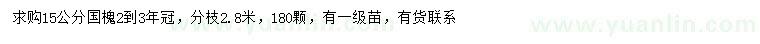 求購15公分國槐