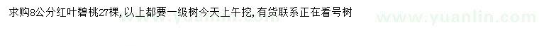 求購8公分紅葉碧桃