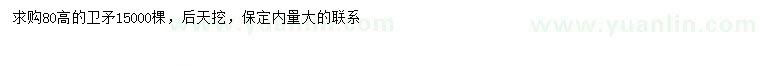 求購高80公分衛(wèi)矛
