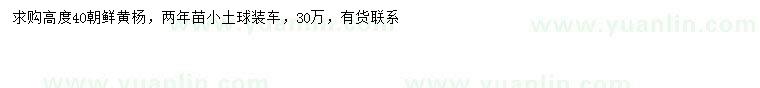 求購高40公分朝鮮黃楊