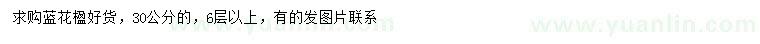 求購(gòu)30公分藍(lán)花楹