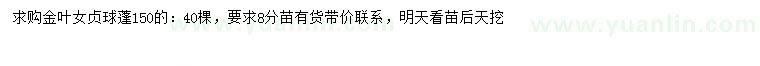求購冠幅150公分金葉女貞球