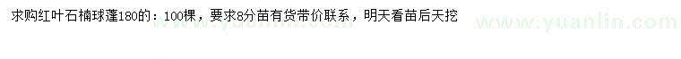 求購冠幅180公分紅葉石楠球