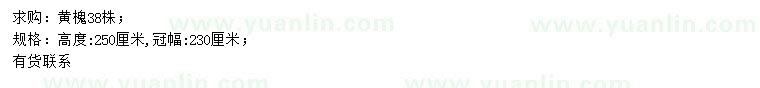 求購(gòu)高250公分黃槐