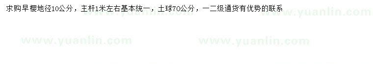 求購(gòu)地徑10公分早櫻