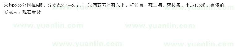 求購22公分國槐