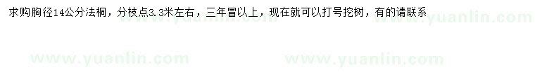 求購胸徑14公分法桐