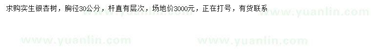求購胸徑30公分銀杏樹(shù)