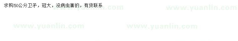 求購(gòu)50公分衛(wèi)矛