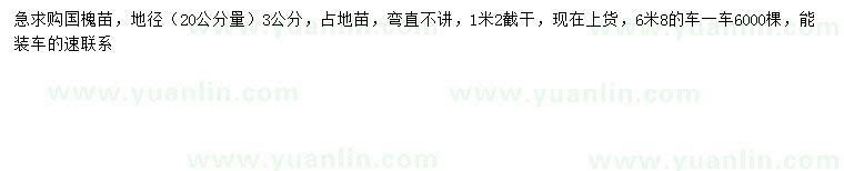 求購(gòu)20量3公分國(guó)槐
