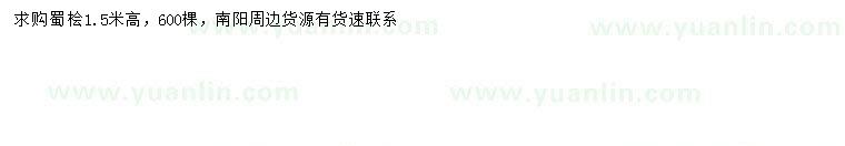求購高1.5米蜀檜