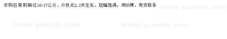 求購胸徑16-17公分巨紫荊
