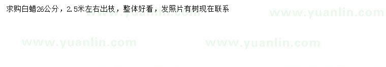 求購26公分白蠟