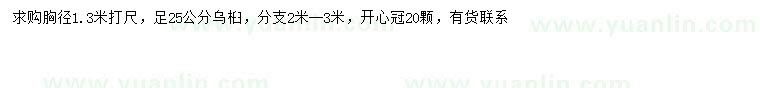 求購1.3米量25公分烏桕