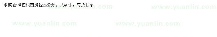 求購胸徑26公分香樟