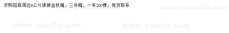 求購6公分金枝槐