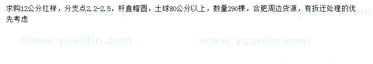 求購12公分紅櫸