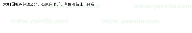 求購胸徑15公分國槐