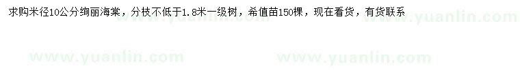 求購(gòu)米徑10公分絢麗海棠