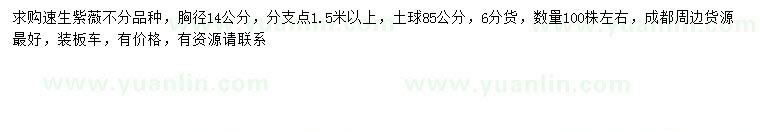 求購(gòu)胸徑14公分速生紫薇