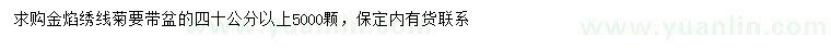 求購(gòu)40公分以上金焰繡線菊